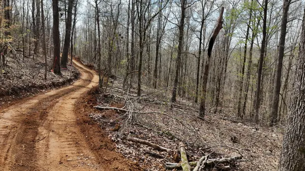 $130,000 | 0 Geren Subdivision Lane, Decatur, TN 37322