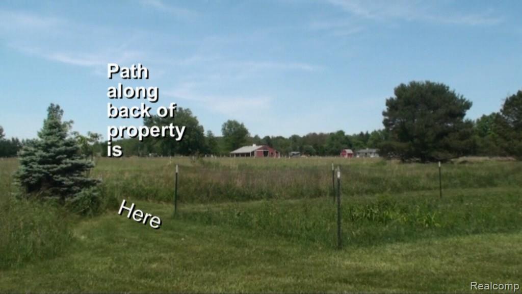 2136 Granger Road Oxford, MI 48371 - Photo 21 of 95 Neighbor with horses at the back of the property. -