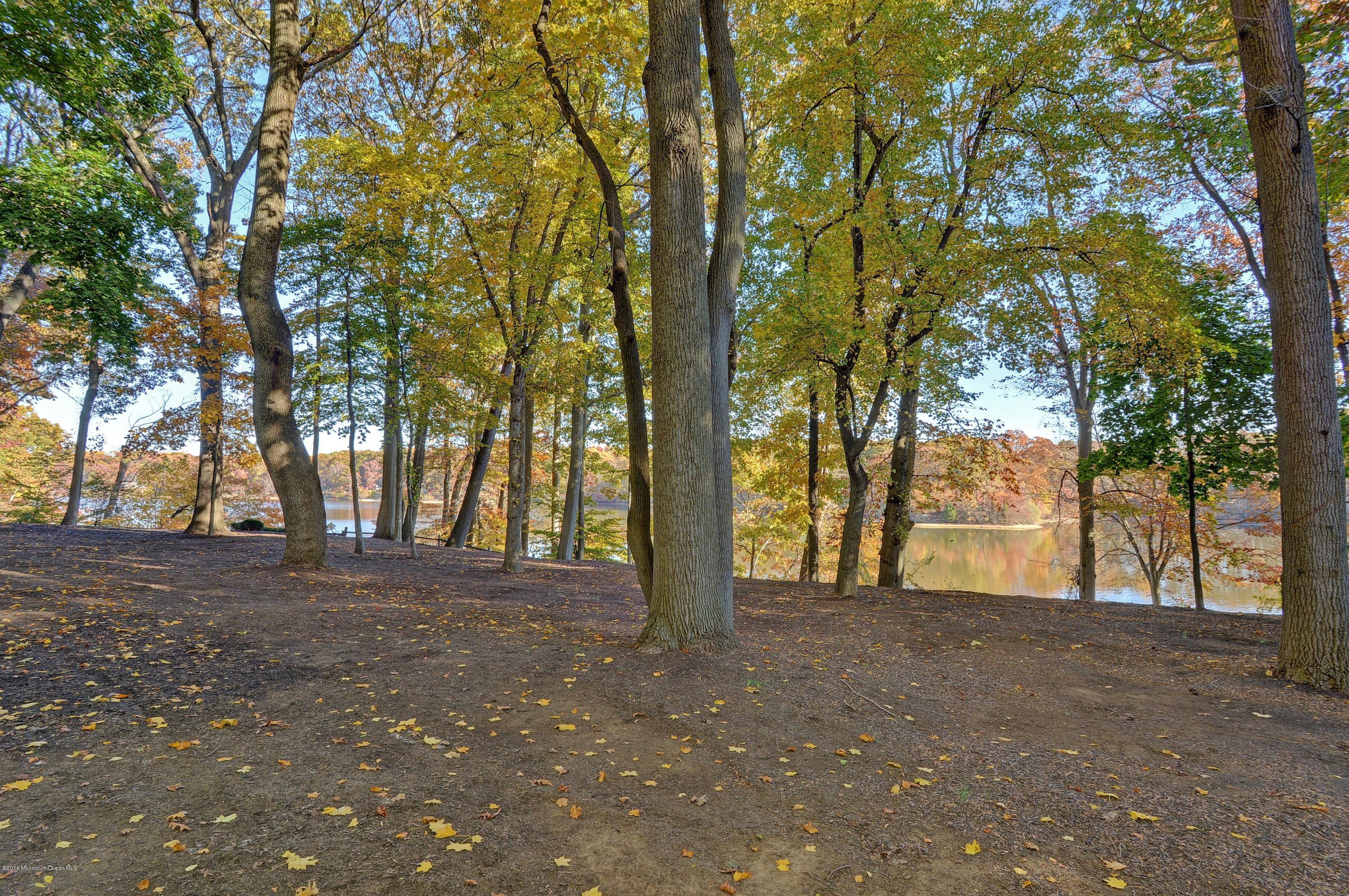 31 Beaver Dam Road Colts Neck, NJ 07722 - Photo 47 of 54 a view of outdoor space and trees