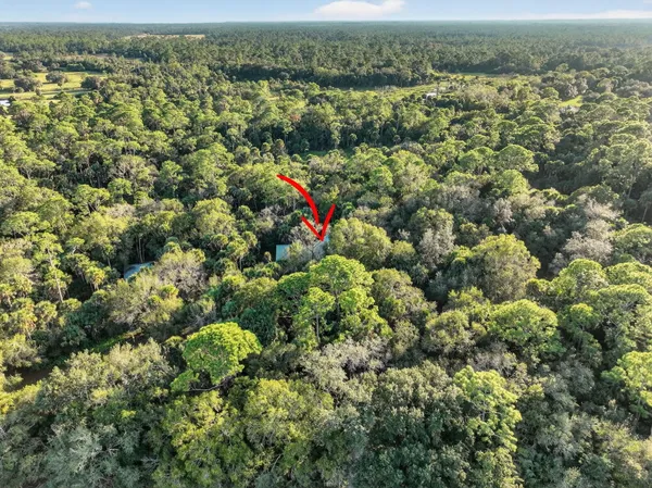 an aerial view of forest