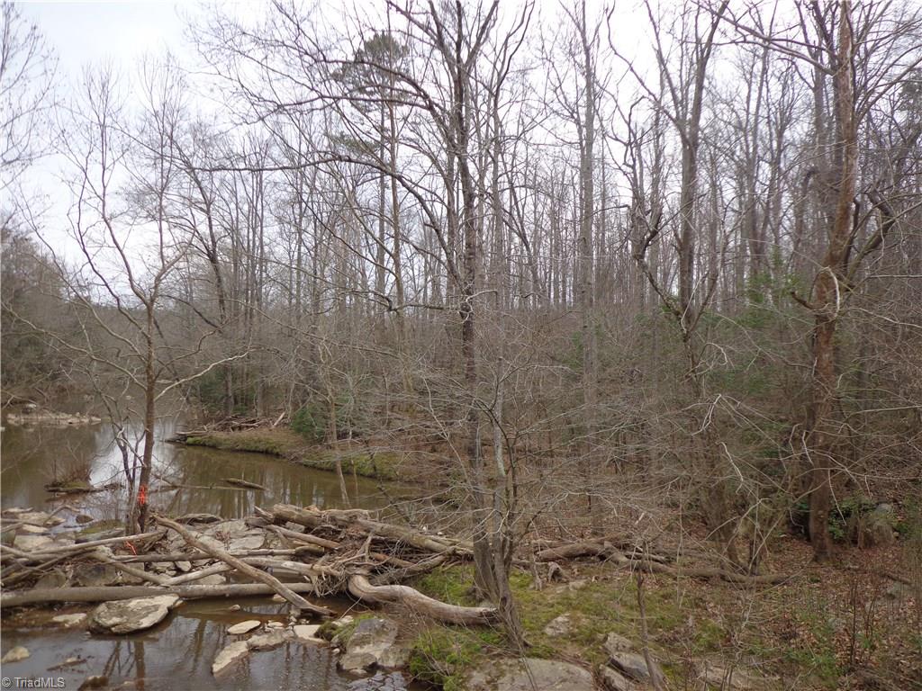 4815 Picketts Mill Road Seagrove, NC 27341 - Photo 16 of 17 Side View of property bordering Richland Creek