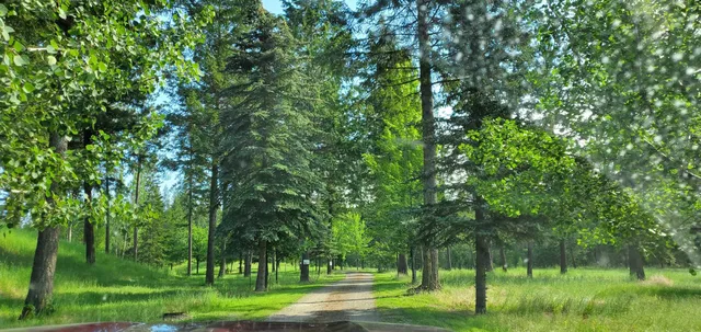 $749,000 | 4151 Grouse Creek Road, Loon Lake, WA 99148