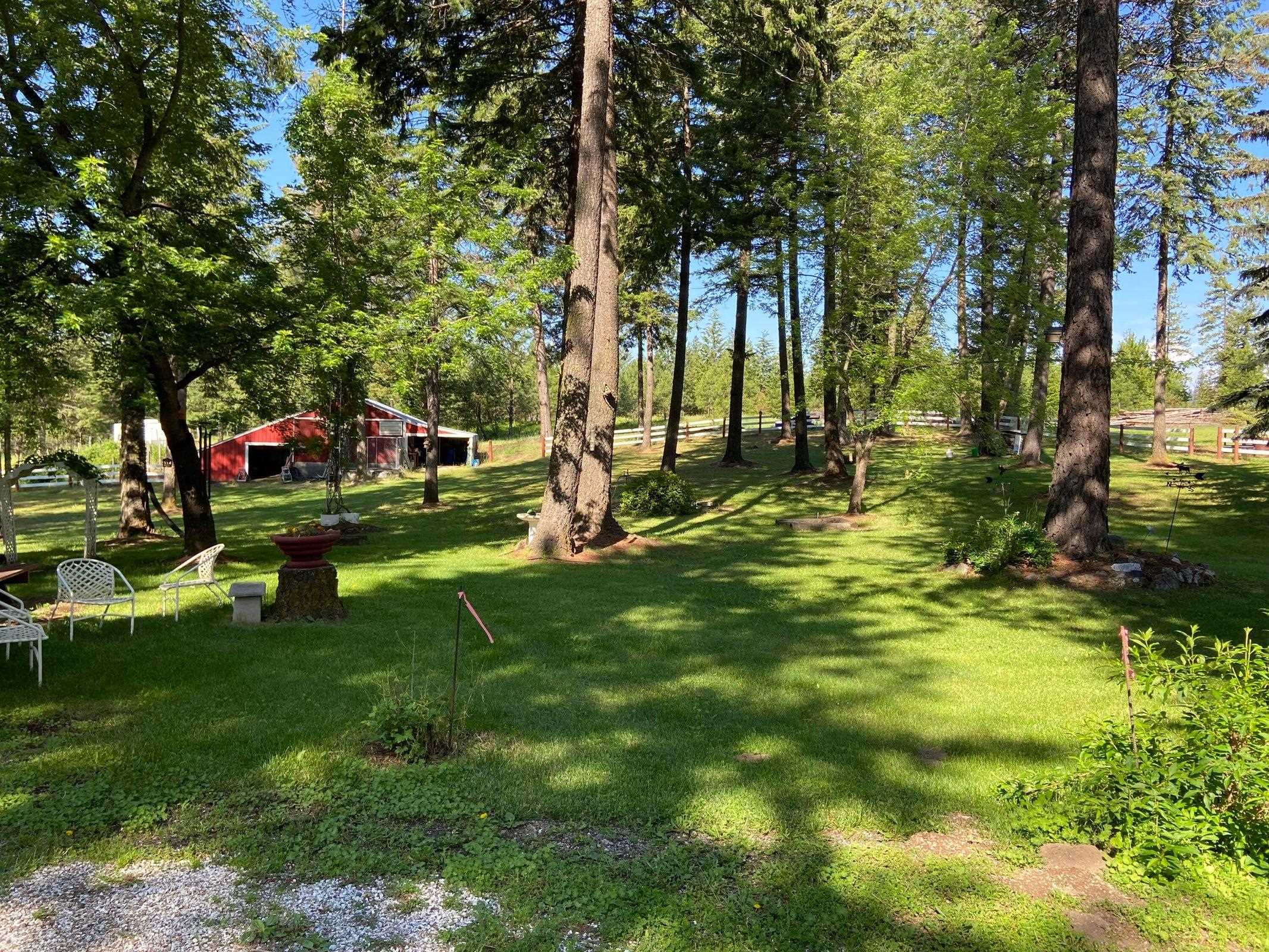 4151 Grouse Creek Road Loon Lake, WA 99148 - Photo 4 of 50