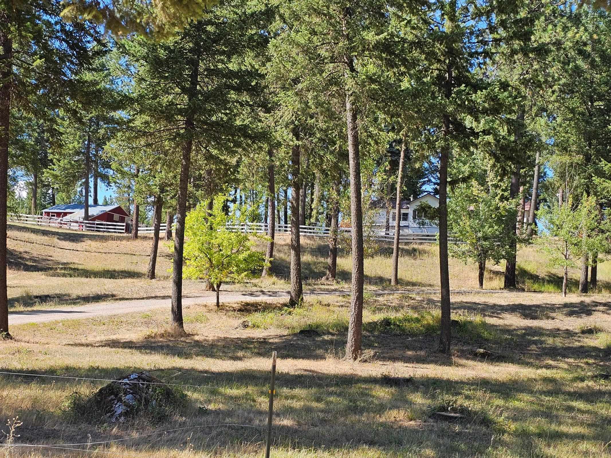 4151 Grouse Creek Road Loon Lake, WA 99148 - Photo 46 of 50