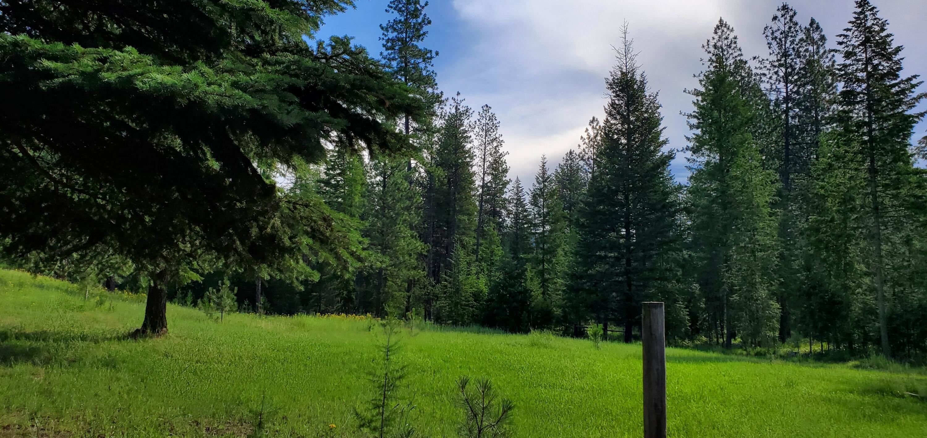 4151 Grouse Creek Road Loon Lake, WA 99148 - Photo 48 of 50