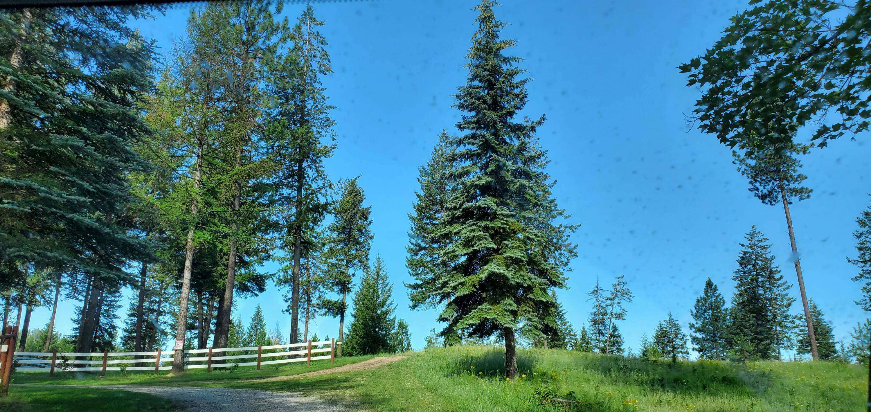 4151 Grouse Creek Road Loon Lake, WA 99148 - Photo 49 of 50