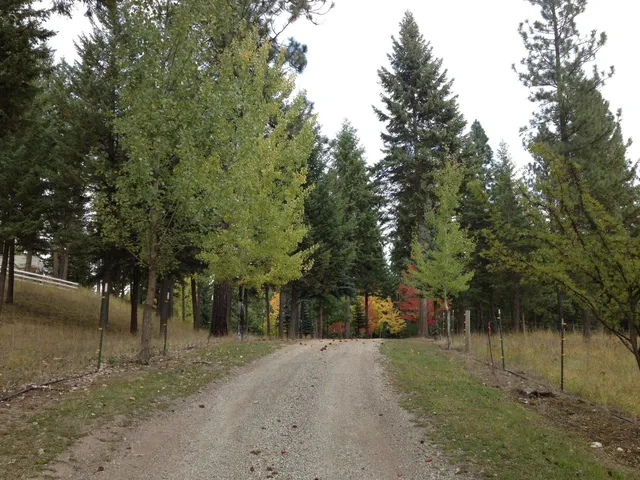 $749,000 | 4151 Grouse Creek Road, Loon Lake, WA 99148