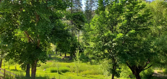 $749,000 | 4151 Grouse Creek Road, Loon Lake, WA 99148