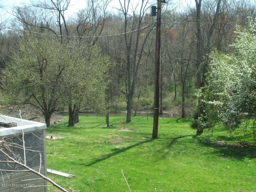 45010 Cherry Valley Road Stroudsburg, PA 18360 - Photo 3 of 15 Yard & Stream