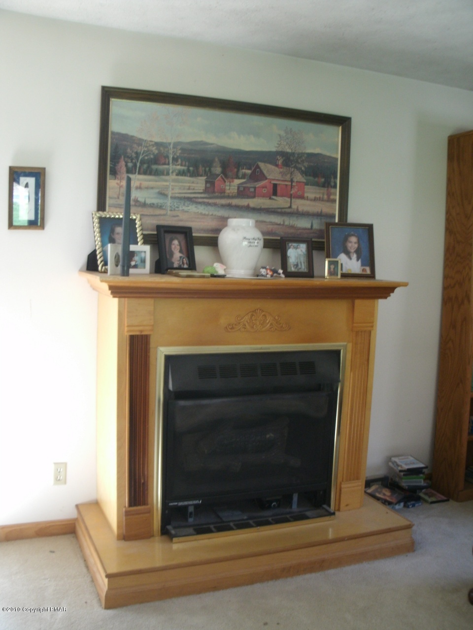 45010 Cherry Valley Road Stroudsburg, PA 18360 - Photo 5 of 15 Living Room Fireplace