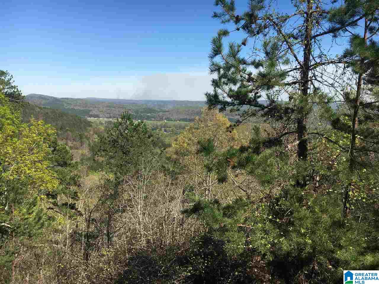 3417 Whites Gap Road Jacksonville, AL 36265 - Photo 24 of 49