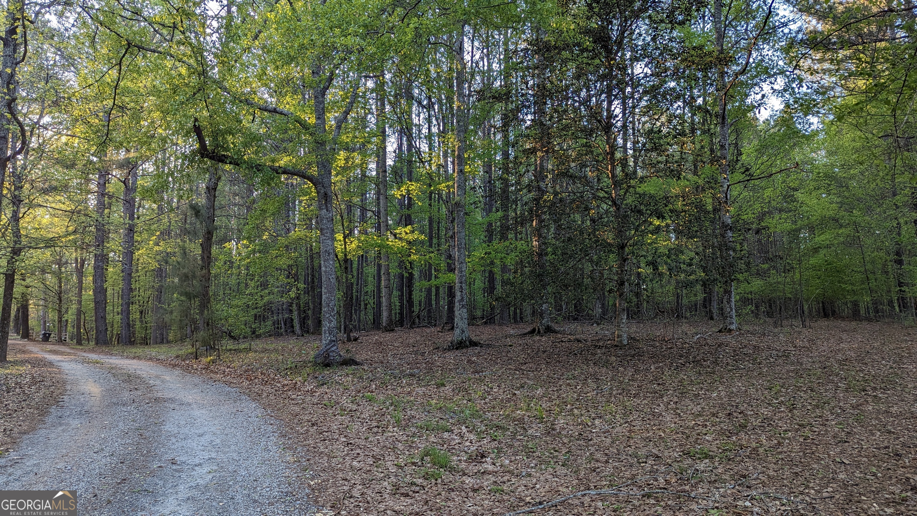 0 Hathcock Road, Unit TRACT 1 South Fulton, GA 30349 - Photo 1 of 4 View of the gravel road frontage leading into the 7-acre CUP-zoned tract. Mature trees border the site, offering privacy and natural buffers within South Fulton's Cliftondale Overlay district.
