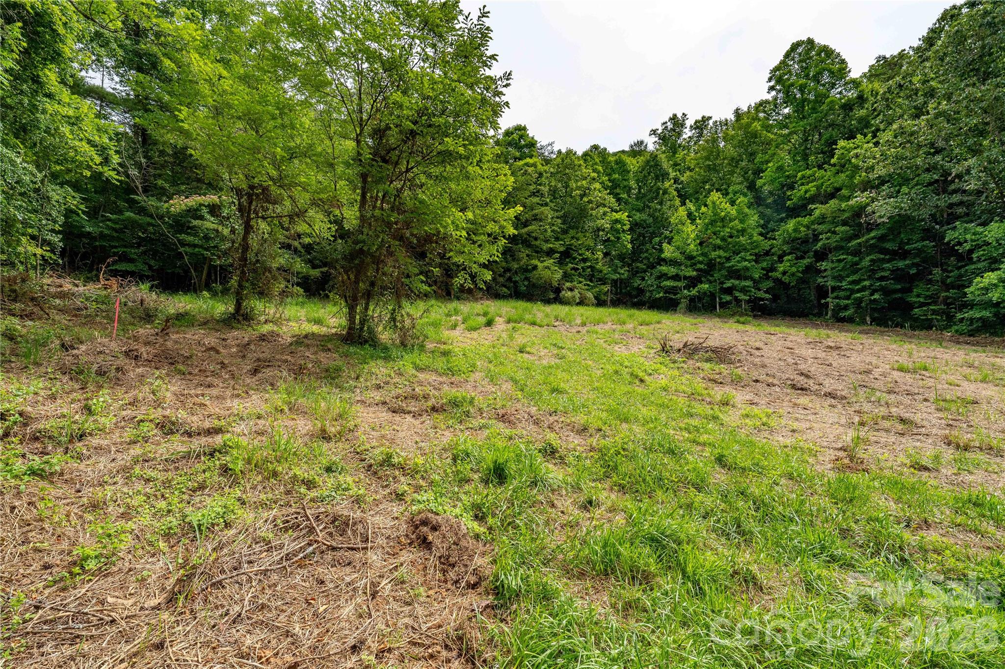 9999 Morgan Branch Road Weaverville, NC 28787 - Photo 10 of 24