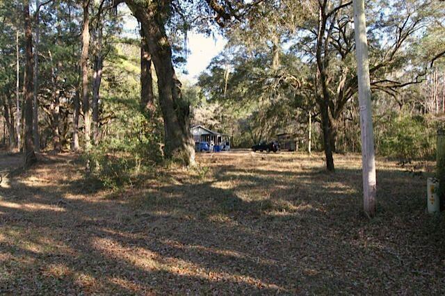 10145 Old Georgetown Road McClellanville, SC 29458 - Photo 3 of 5 Lousie 3