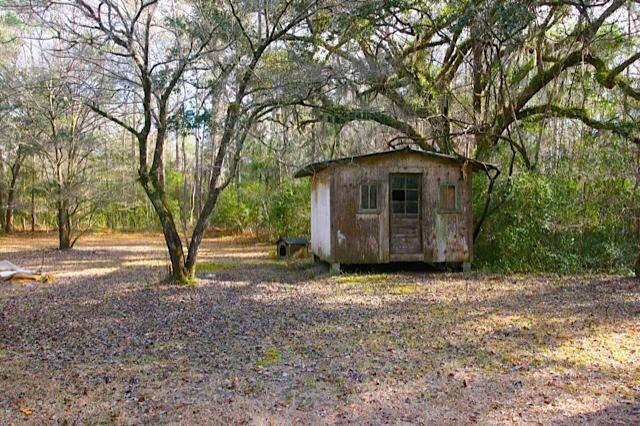 10145 Old Georgetown Road McClellanville, SC 29458 - Photo 5 of 5 Lousie 2