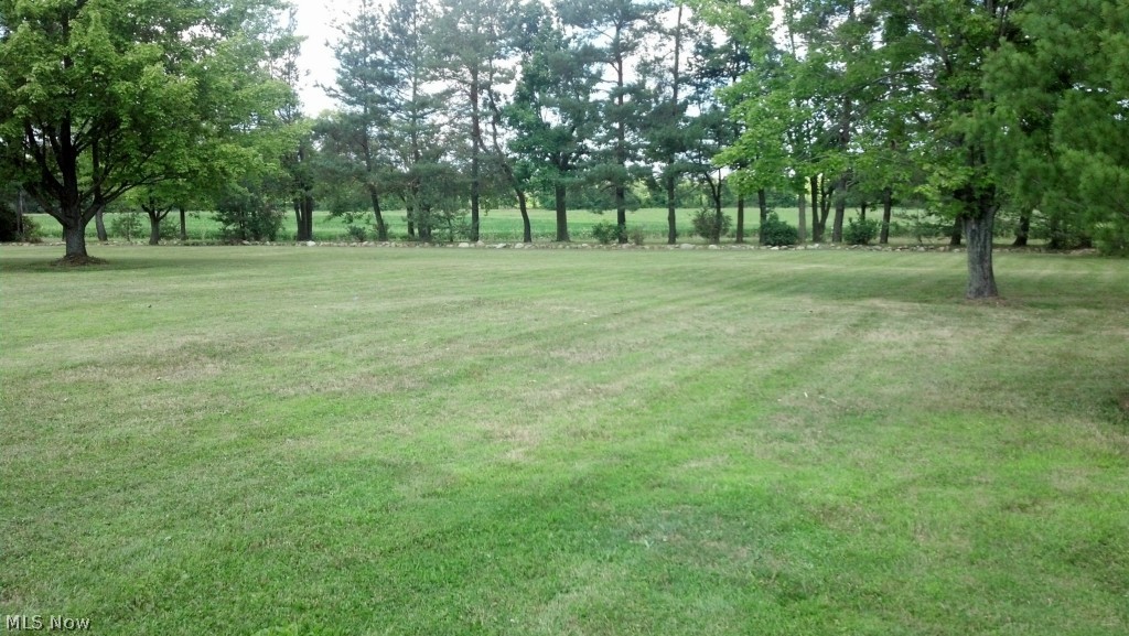 17461 Burrows Road Thompson, OH 44086 - Photo 6 of 24