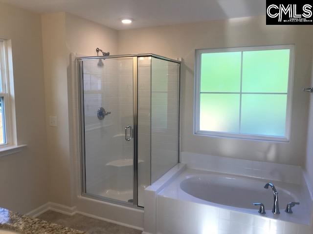1375 Tamarind Lane Chapin, SC 29036 - Photo 13 of 18