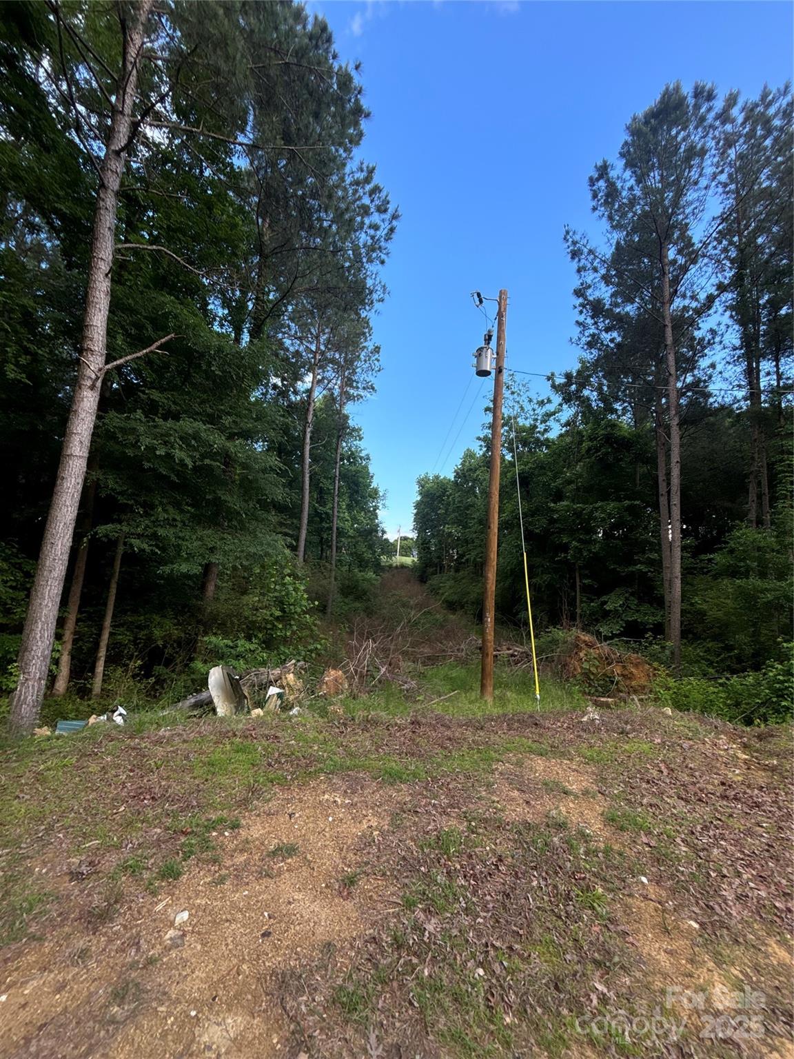 160 Pine Log Road Polkton, NC 28135 - Photo 11 of 21