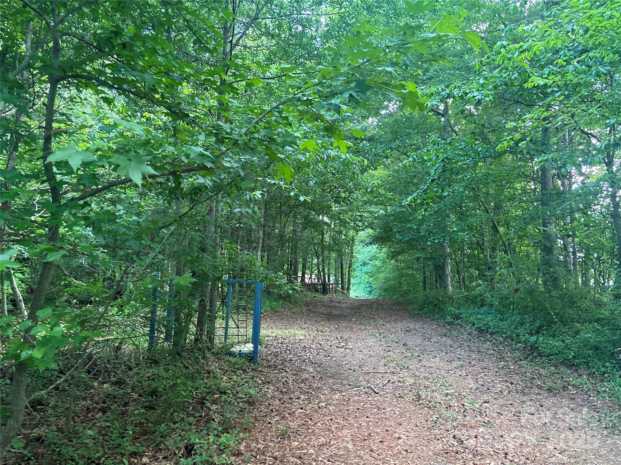 160 Pine Log Road Polkton, NC 28135 - Photo 3 of 21