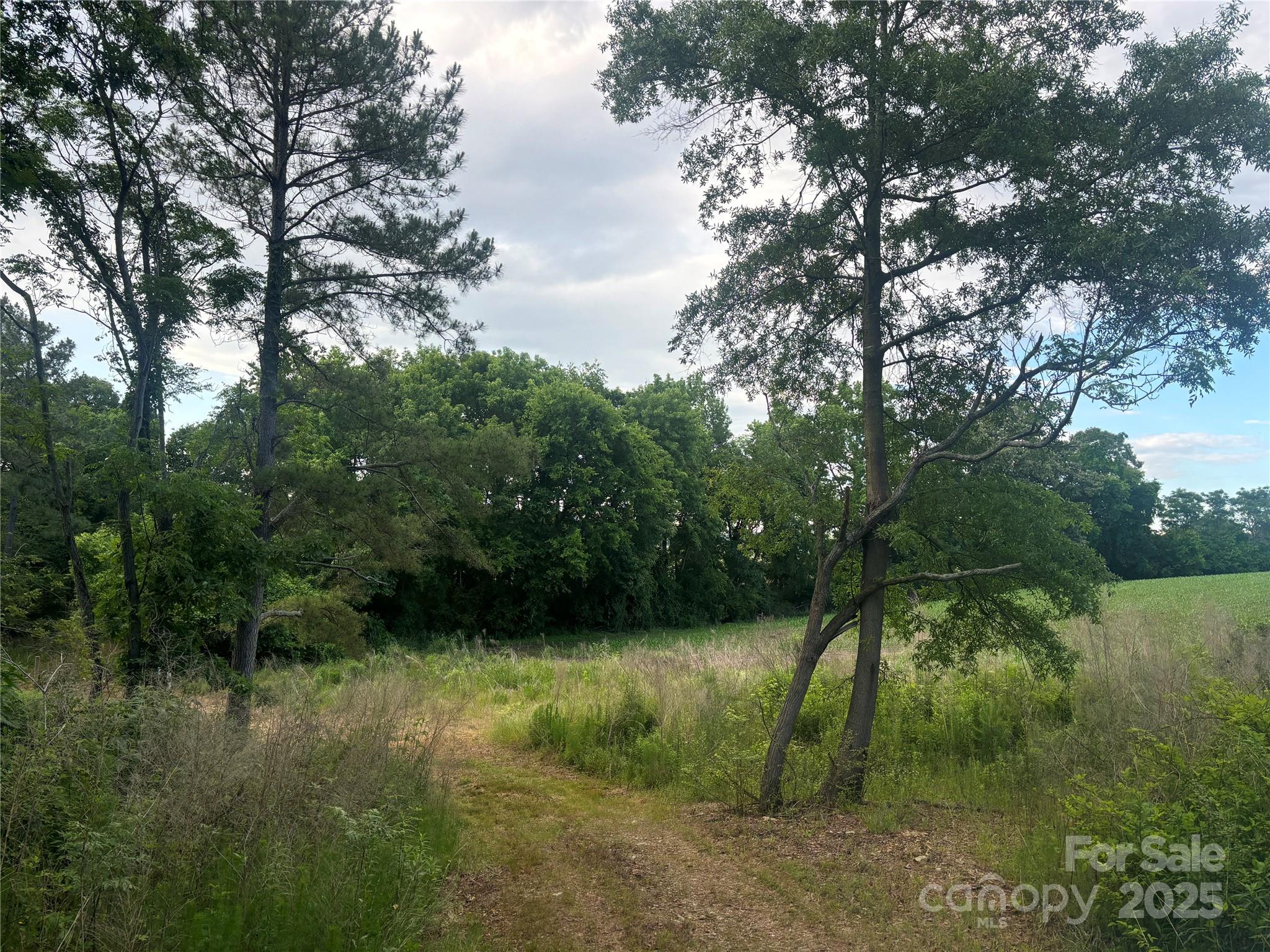 160 Pine Log Road Polkton, NC 28135 - Photo 4 of 21