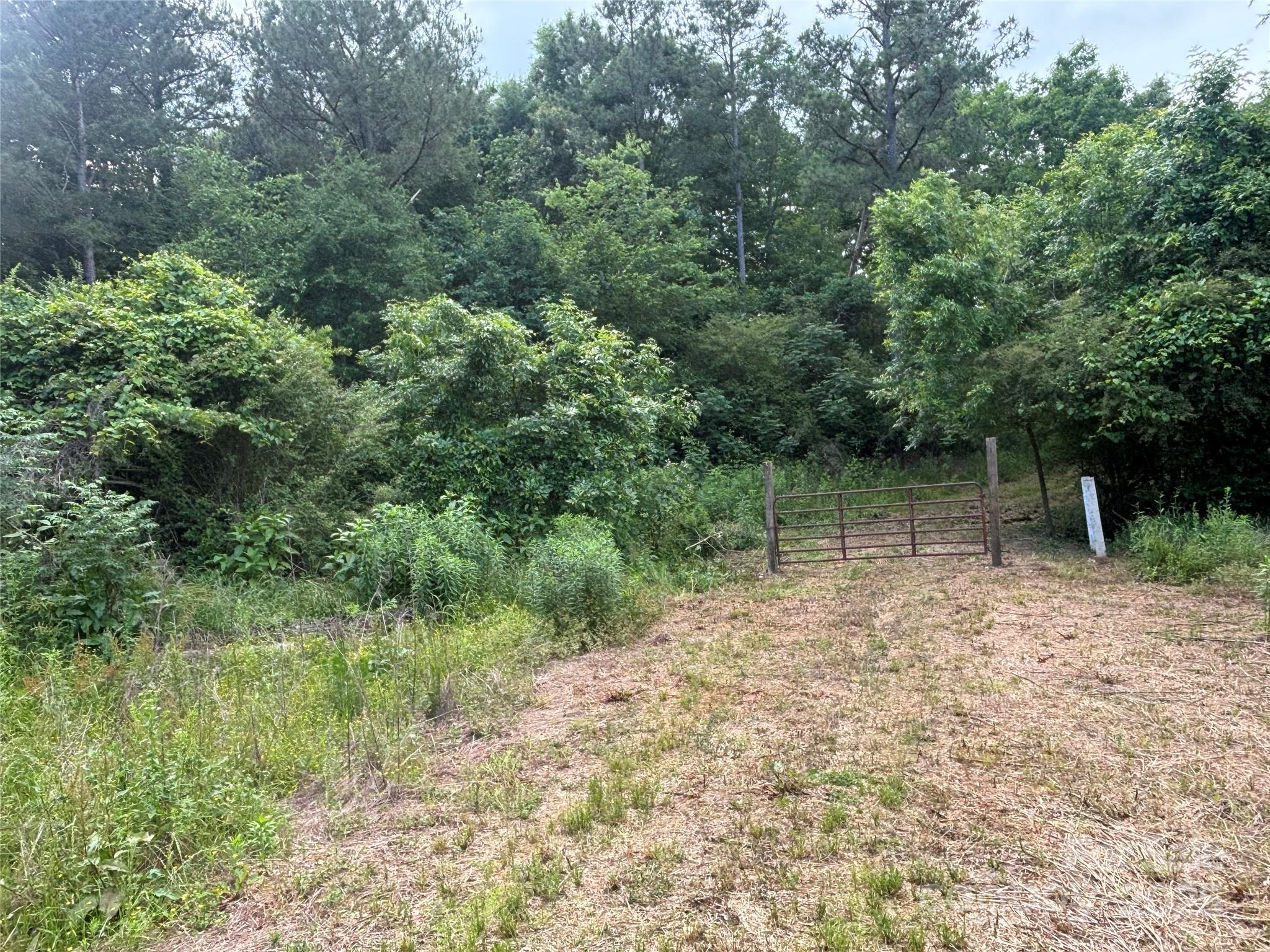 160 Pine Log Road Polkton, NC 28135 - Photo 5 of 21
