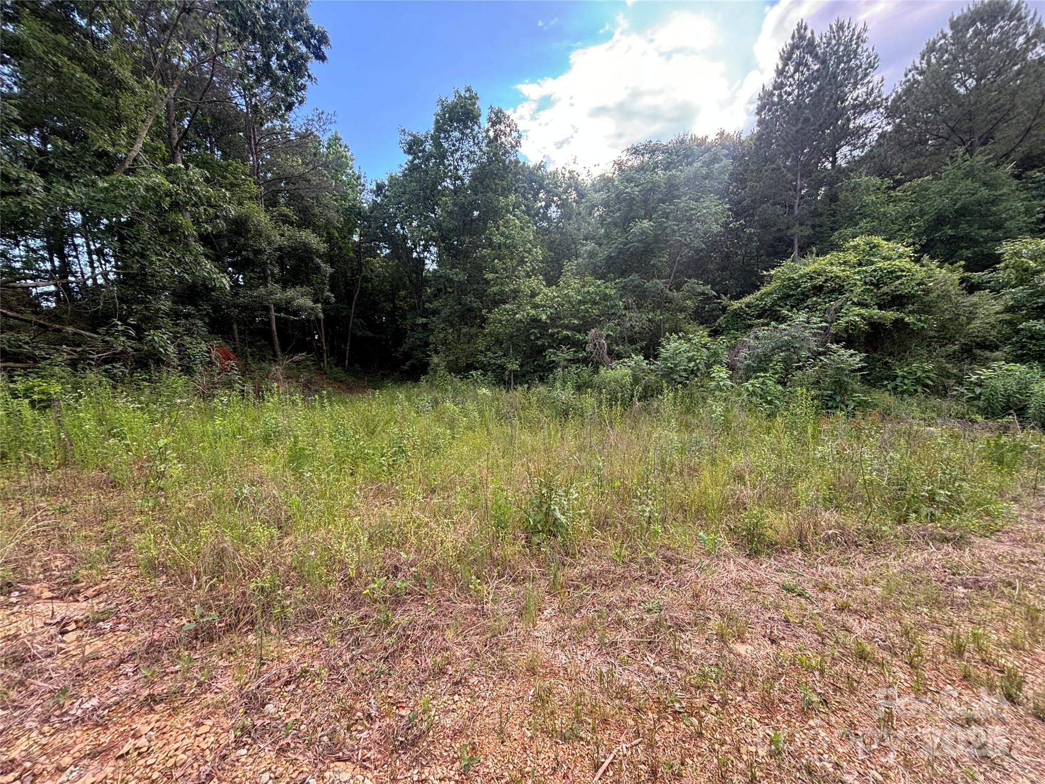 160 Pine Log Road Polkton, NC 28135 - Photo 6 of 21