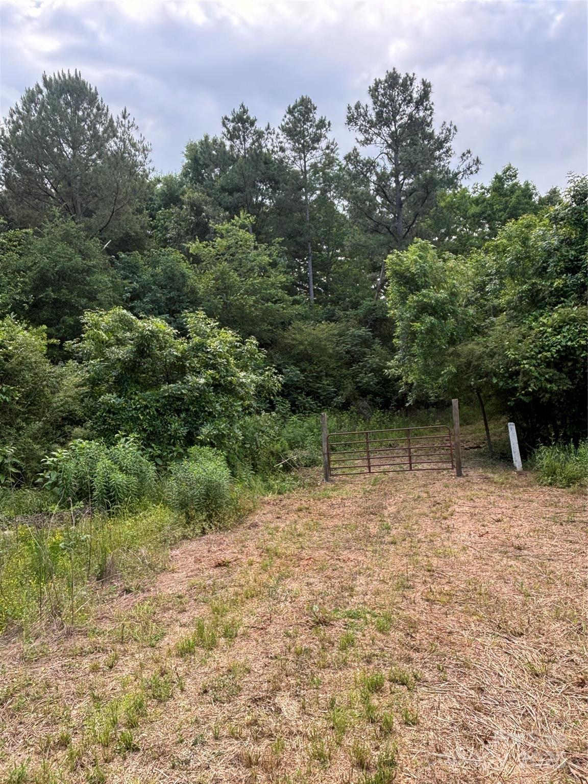 160 Pine Log Road Polkton, NC 28135 - Photo 7 of 21