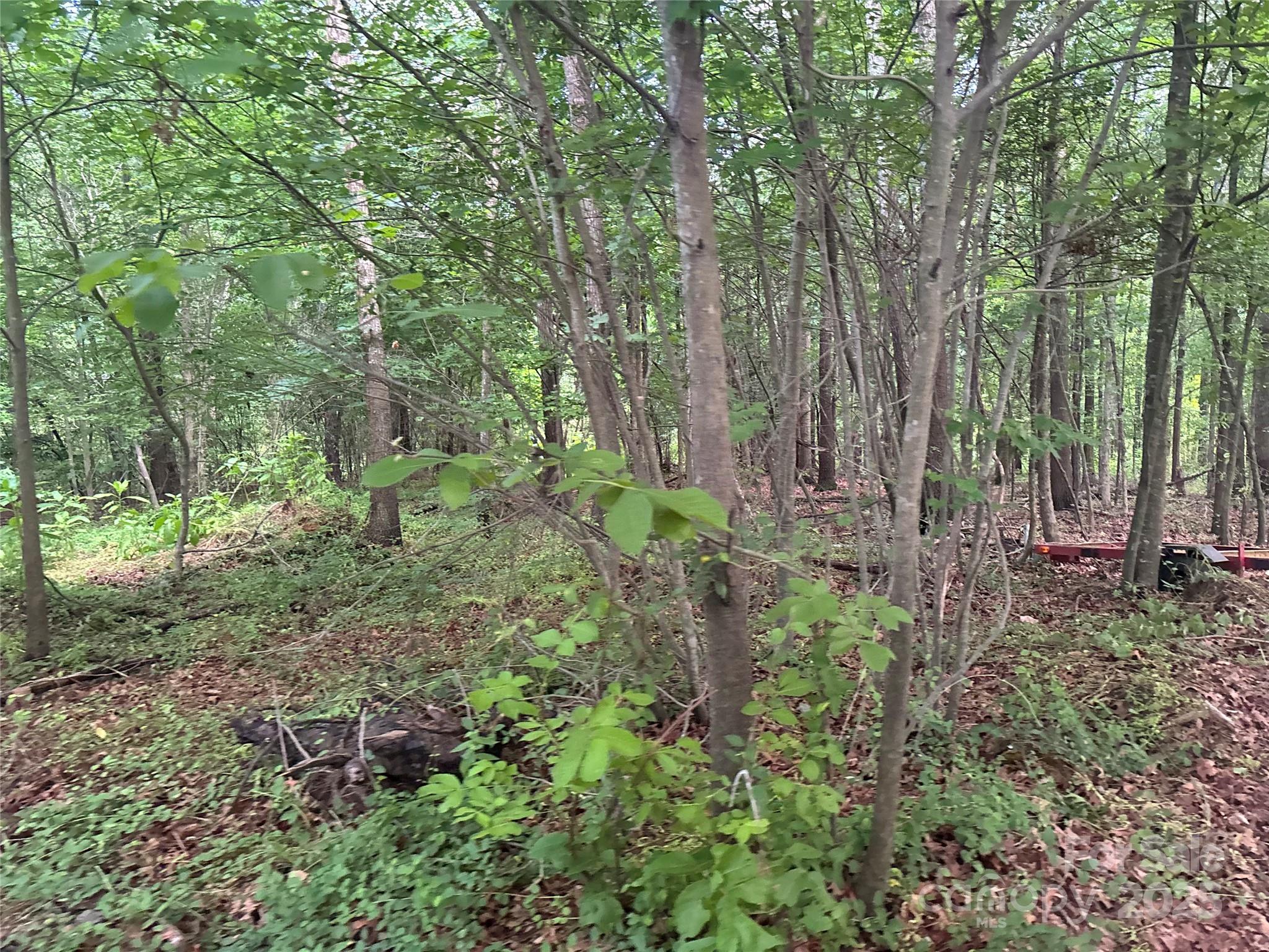160 Pine Log Road Polkton, NC 28135 - Photo 8 of 21