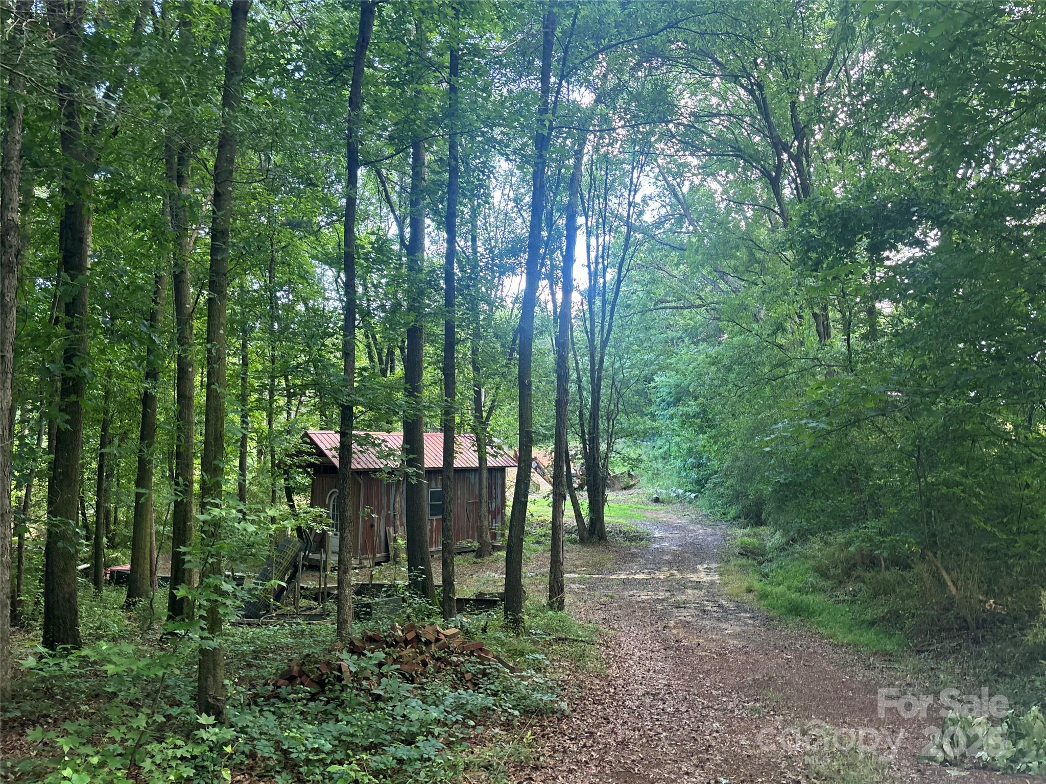 160 Pine Log Road Polkton, NC 28135 - Photo 9 of 21