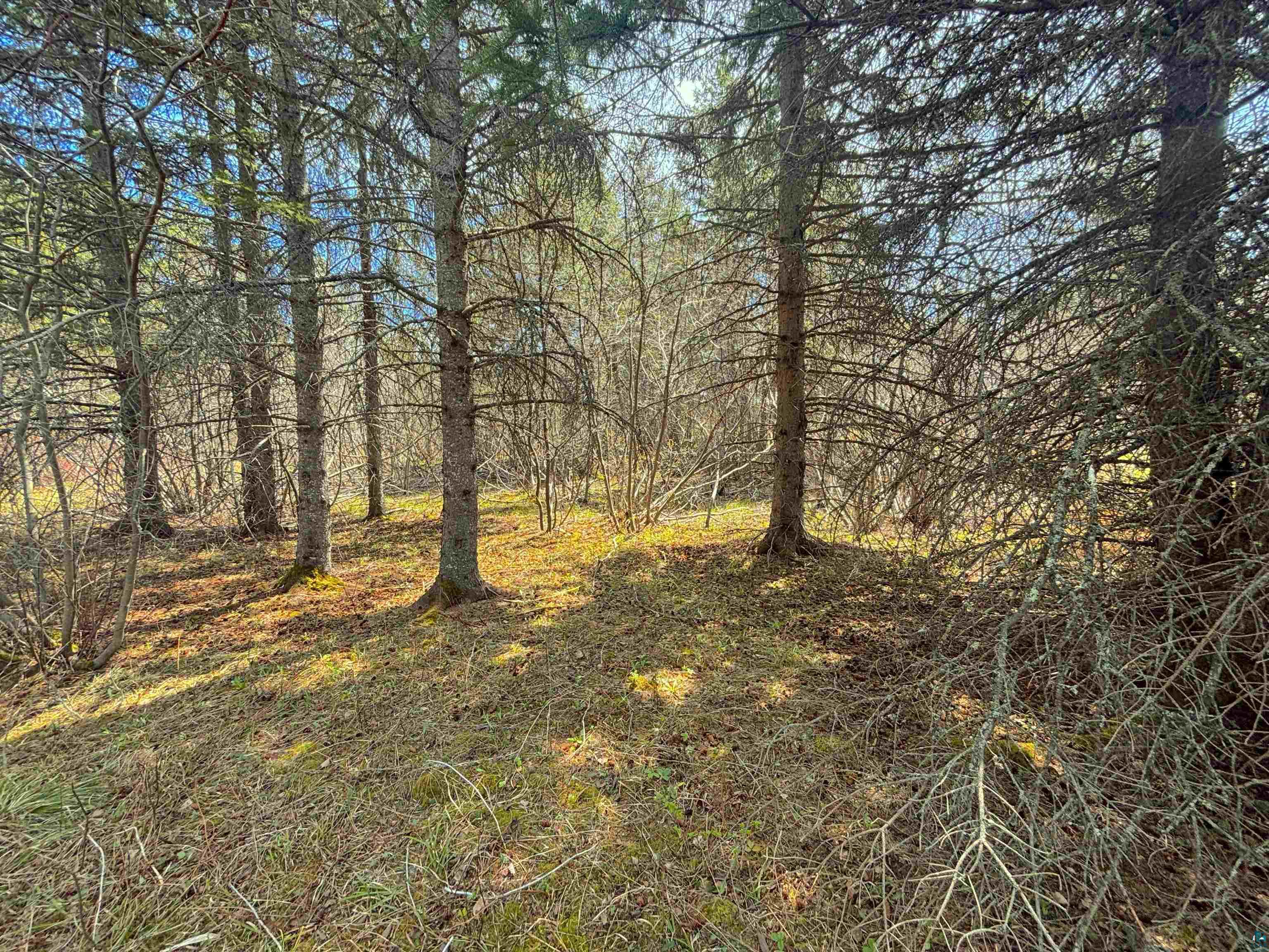 864-xx Lenawee Road Herbster, WI 54844 - Photo 10 of 26