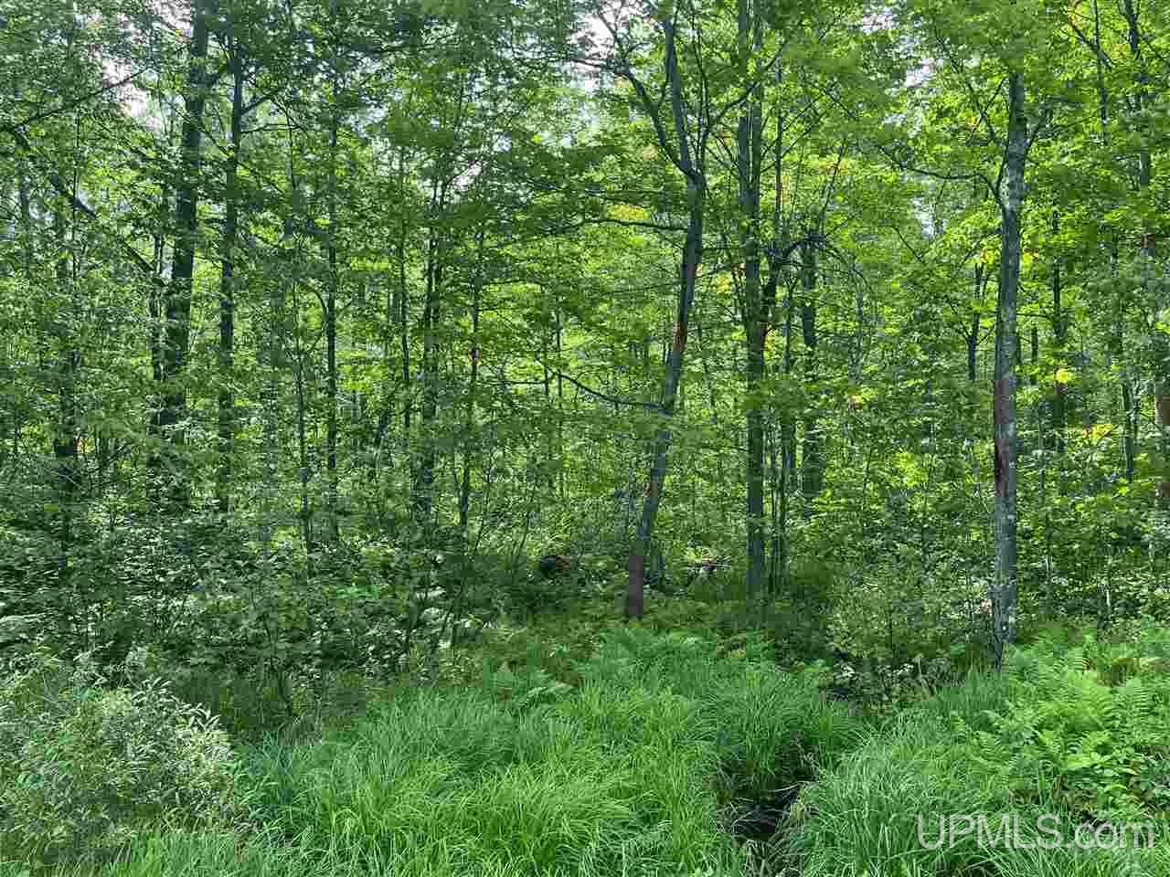 Tbd Range View Ironwood, WI 49938 - Photo 2 of 12