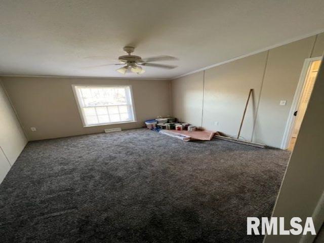 323 South Birch Street Belle Rive, IL 62810 - Photo 14 of 21