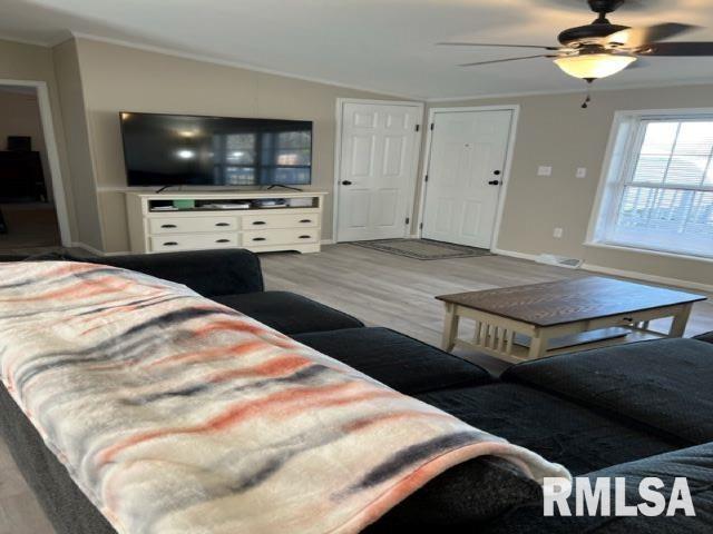 323 South Birch Street Belle Rive, IL 62810 - Photo 4 of 21