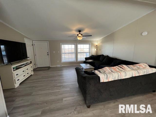 323 South Birch Street Belle Rive, IL 62810 - Photo 5 of 21