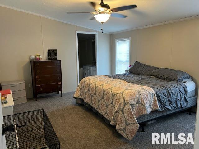 323 South Birch Street Belle Rive, IL 62810 - Photo 8 of 21