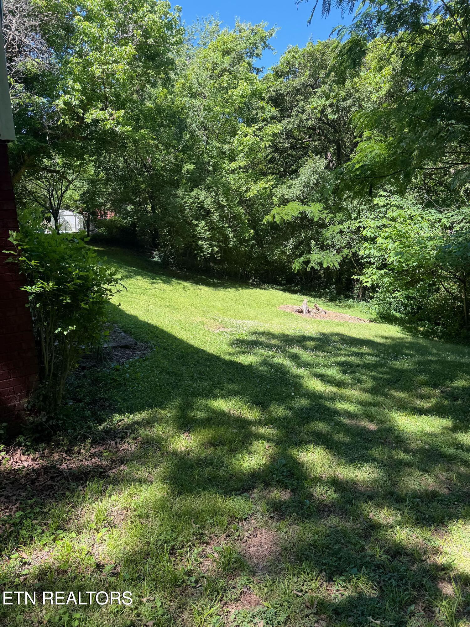 835 Spring Drive Southwest Knoxville, TN 37920 - Photo 10 of 10 IMG_1199