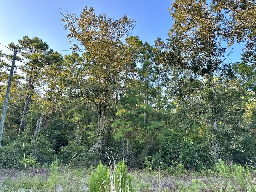 0 Harvest Road Nahunta, GA 31553 - Photo 1 of 1 Gallery Image 1
