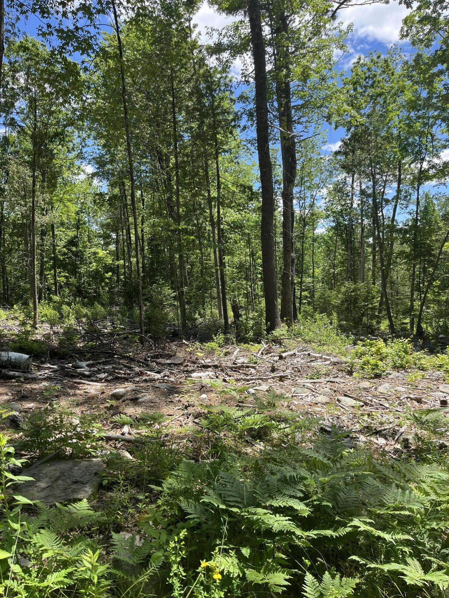 5 Fickett Road Etna, ME 04434 - Photo 12 of 23