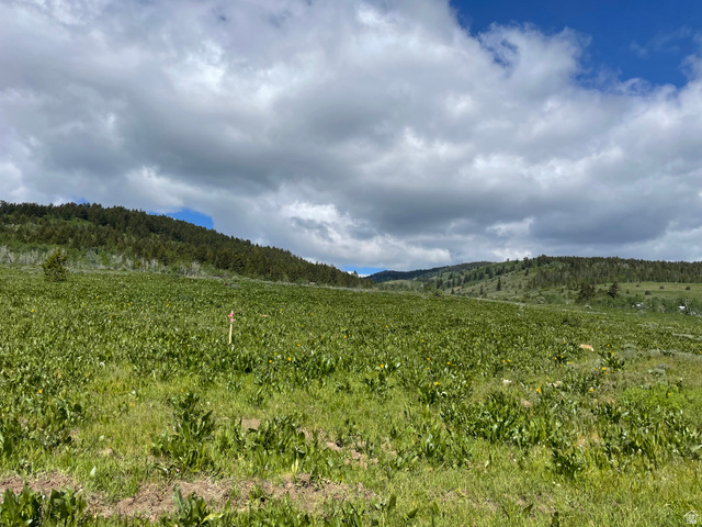 400 Maggi Road, Unit 4 Montpelier, ID 83254 - Photo 20 of 23