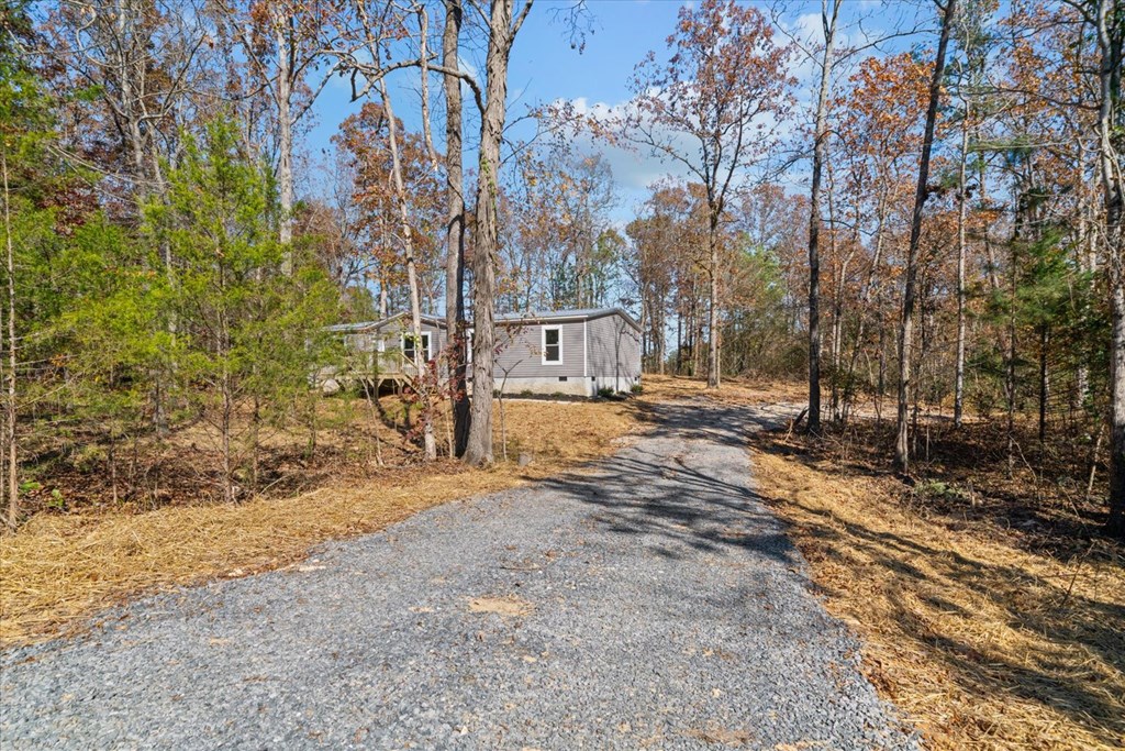 976 Berry Bennett Road Chatsworth, GA 30705 - Photo 7 of 49 Gallery Image 7