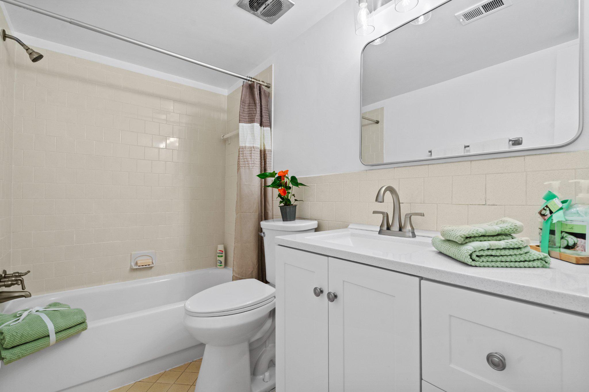 9804 Georgia Avenue, Unit 23302 Silver Spring, MD 20902 - Photo 8 of 24 Hall Full Bathroom with new vanity.