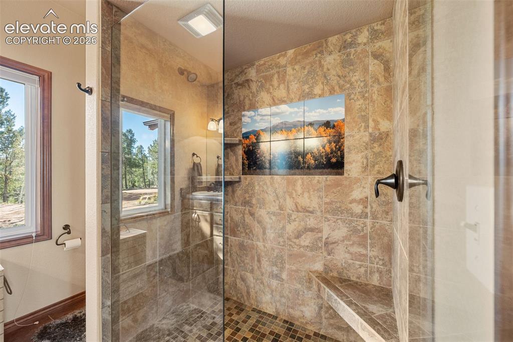 131 Paradiso Road Divide, CO 80814 - Photo 27 of 50 a bathroom with a shower