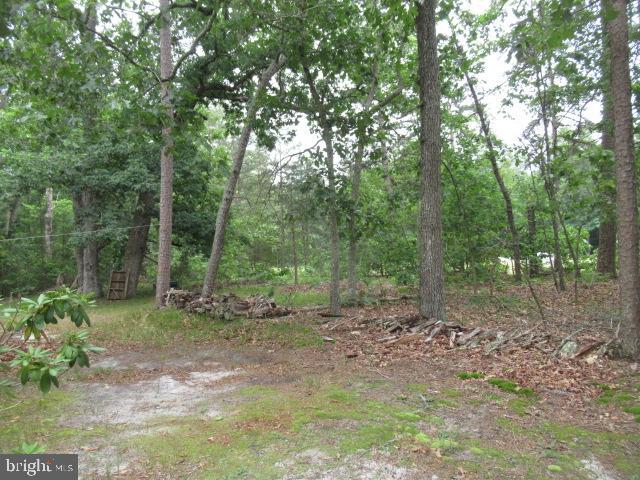 6817 Weymouth Road Mays Landing, NJ 08330 - Photo 16 of 16 Yard