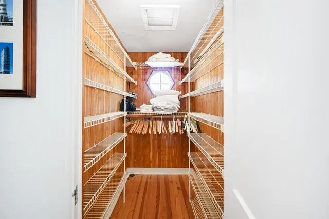 a view of backyard with potted plants and a large tree