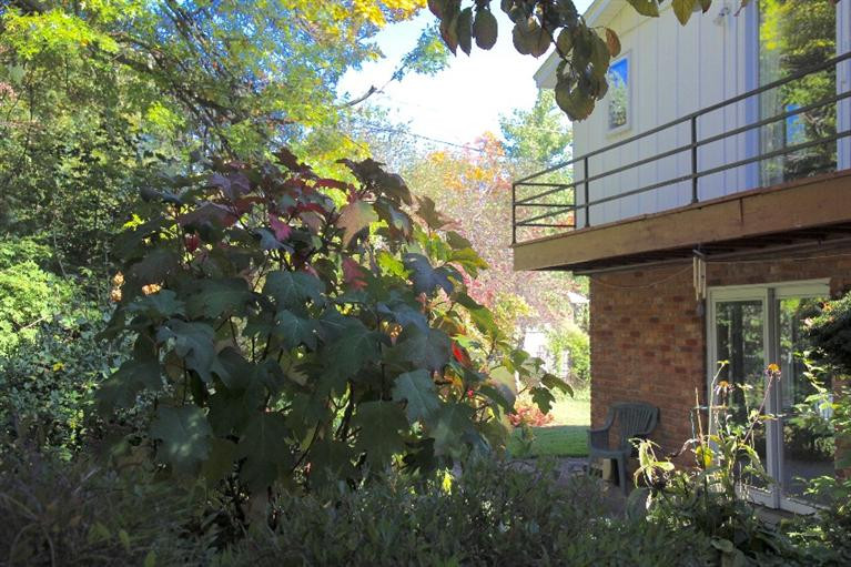 2648 Manchester Road Ann Arbor, MI 48104 - Photo 53 of 59 Photo 53