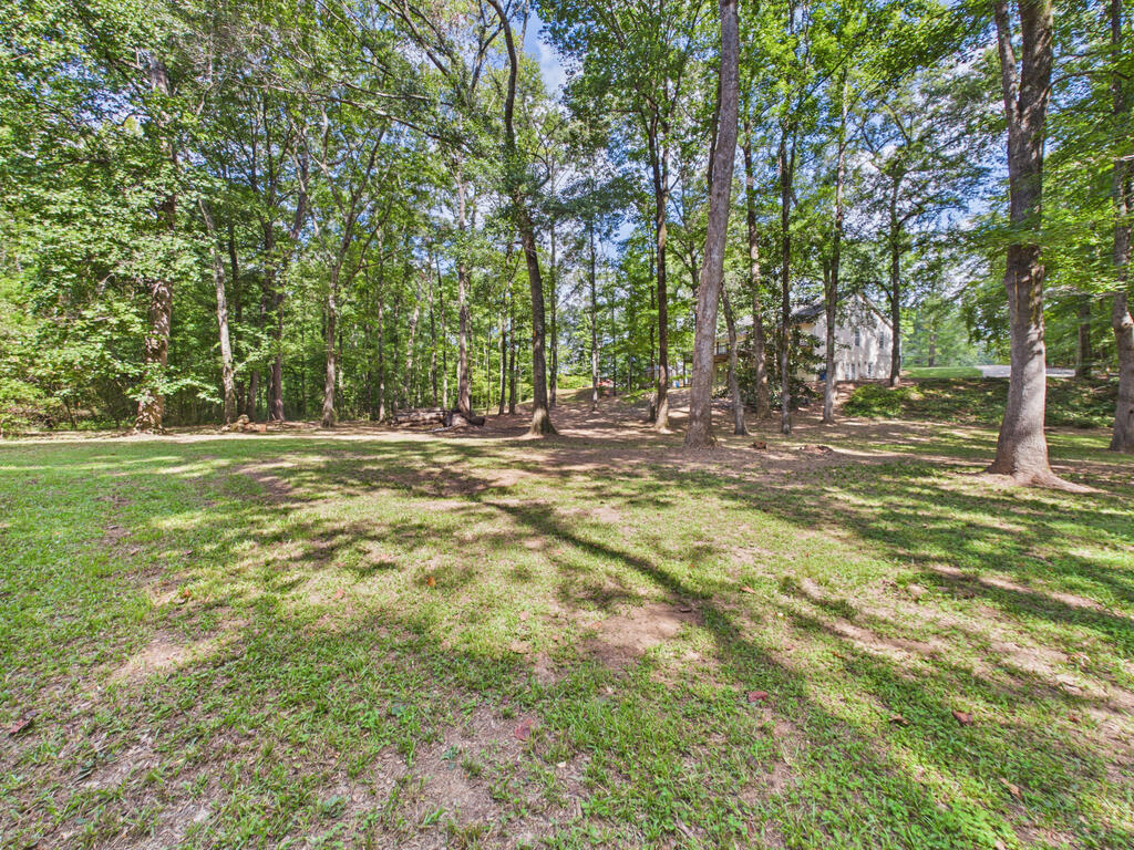 1732 Lee Road Salem, AL 36874 - Photo 52 of 58 Gallery Image 52