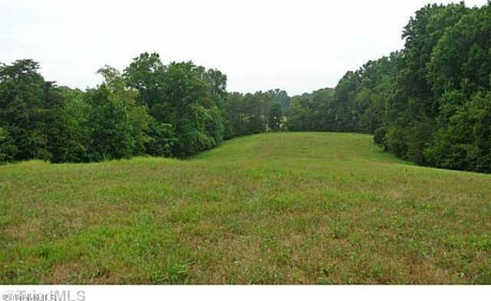 1085 Fish Pond Road Westfield, NC 27053 - Photo 22 of 30 Grassed landing strip