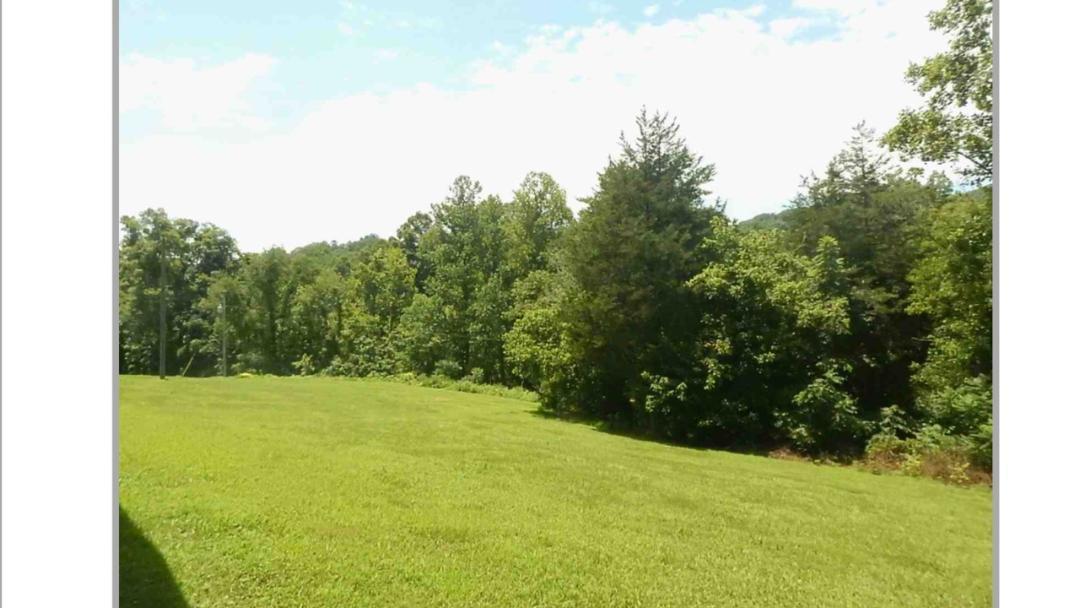 620 Black Fox Road Washburn, TN 37888 - Photo 5 of 40 Great yard