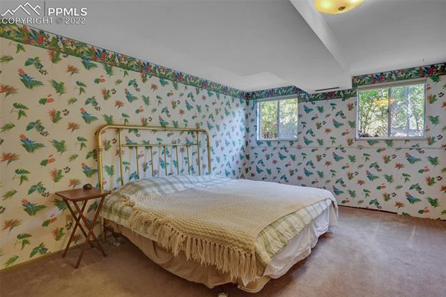 2763 Rigel Drive Colorado Springs, CO 80906 - Photo 27 of 35