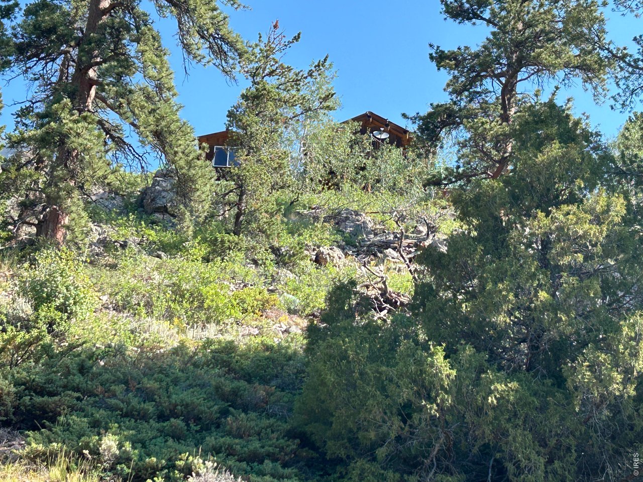 506 Elkridge Road Red Feather Lakes, CO 80545 - Photo 21 of 25 House from lower end of property